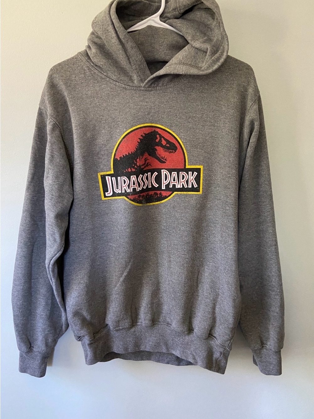 Jurassic Park Hoodie XL Gray Universal Studios Graphic Sweatshirt